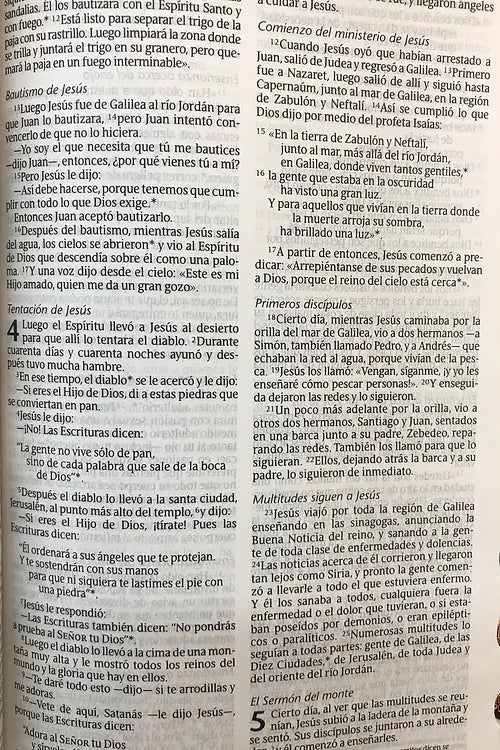 Biblia Edición Clásica NTV, SentiPiel Negro / GrisCon Índice